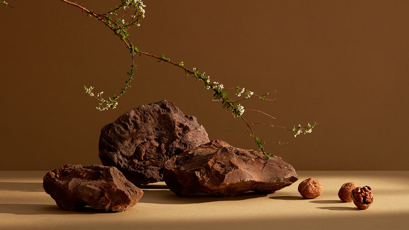 Rocks and a branch with small flowers on a brown background.