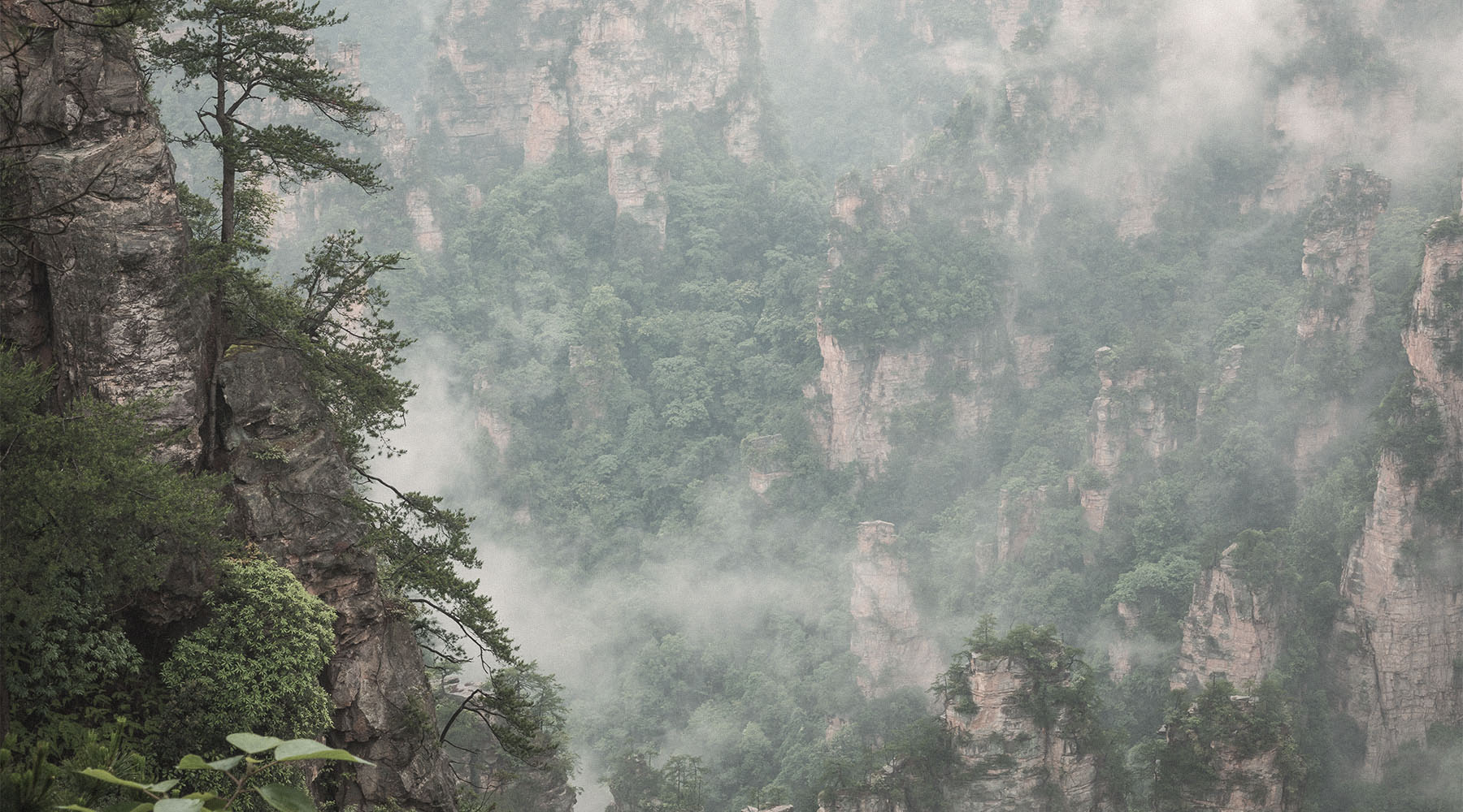 Misty mountain landscape with rocky cliffs and dense greenery.