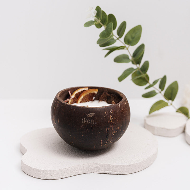 Coconut shell candle with dried orange and figs inside that is ikoni Coconut Shell Candle on a white stone with a plant in the background.