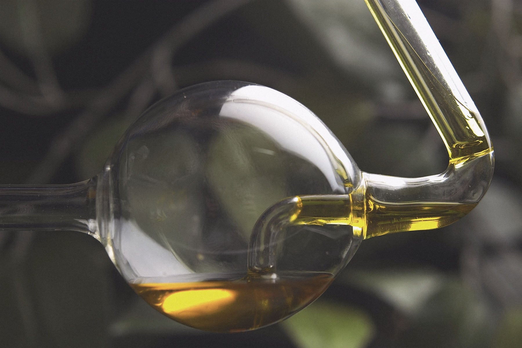 Assorted dried Chinese herbs and spices on a wooden surface.
