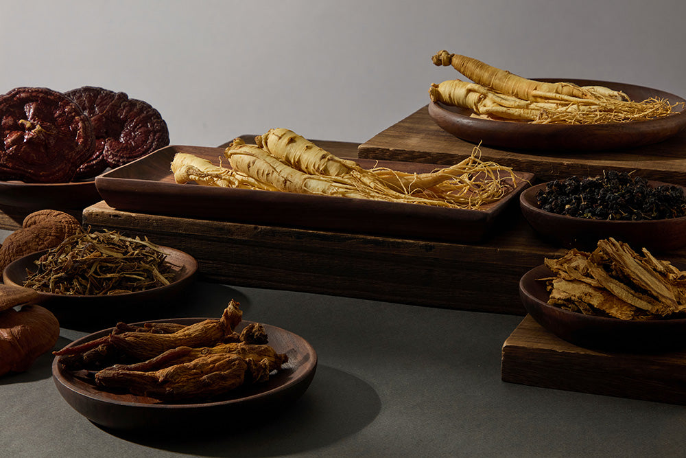 Various dried Chinese herbs and roots displayed on wooden trays and bowls against a neutral background.